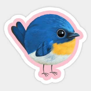 Blue flycatcher bird Sticker